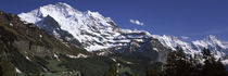  Lauterbrunnen Valley, Wengen, Bernese Oberland, Berne Canton, Switzerland von Panoramic Images