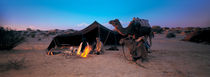  Bedouin Camp, Tunisia, Africa von Panoramic Images