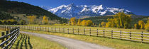 Fence along a road, Sneffels Range, Colorado, USA by Panoramic Images