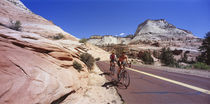 Two people cycling on the road, Zion National Park, Utah, USA by Panoramic Images