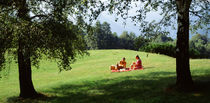 Panorama Print - Picknick auf einer Wiese zwischen Birken, Kanton Tessin Schweiz von Panoramic Images