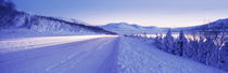 Highway running through a snow covered landscape, Akureyri, Iceland von Panoramic Images