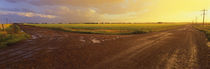Country crossroads passing through a landscape, Edmonton, Alberta, Canada by Panoramic Images