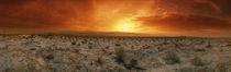 Panorama Print - Sonnenuntergang über der Wüste, Palm Springs, Kalifornien, USA von Panoramic Images