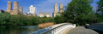 Bow Bridge, Central Park, NYC, New York City, New York State, USA von Panoramic Images