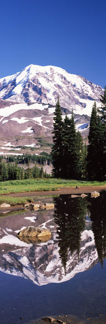Pierce County, Washington State, USA by Panoramic Images