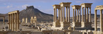 Colonnades on an arid landscape, Palmyra, Syria by Panoramic Images