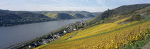 High angle view of a town at the riverbank, Lorch, Rheingau, Germany von Panoramic Images