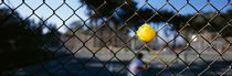 Close-up of a tennis ball stuck in a fence, San Francisco, California, USA by Panoramic Images