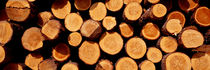 Logs, Austria, Europe by Panoramic Images