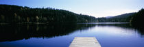 Pier on a lake, Schwarzwald, Baden-Württemberg, Germany von Panoramic Images