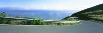 USA , California, Marin County, road by Panoramic Images