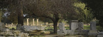 Ancient Olympia, Olympic Site, Greece von Panoramic Images