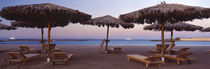 Lounge chairs with sunshades on the beach, Hilton Resort, Hurghada, Egypt von Panoramic Images