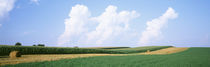 Hay bales in a field, Jo Daviess county, Illinois, USA von Panoramic Images