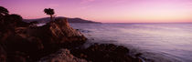 17 mile Drive, Carmel, California, USA by Panoramic Images