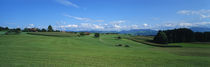 View Along Rural Hillside, Zurich, Switzerland by Panoramic Images