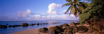 Rocks on the beach, Anini Beach, Kauai, Hawaii, USA von Panoramic Images