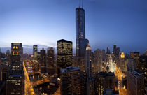 Skyscrapers lit up at night, Willis Tower, Chicago, Cook County, Illinois, USA by Panoramic Images