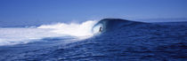 Surfer in the sea, Tahiti, French Polynesia von Panoramic Images
