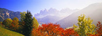 Dolomites Alps, Italy von Panoramic Images