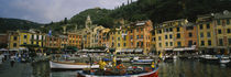 Fishing boats at the harbor, Portofino, Italy by Panoramic Images