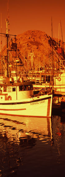 Fishing boats in the bay, Morro Bay, San Luis Obispo County, California, USA by Panoramic Images