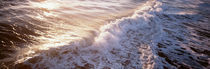 Waves FL USA von Panoramic Images