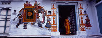 Young woman standing at the door, Udaipur, Rajasthan, India von Panoramic Images