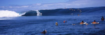 Surfers in the sea, Tahiti, French Polynesia by Panoramic Images