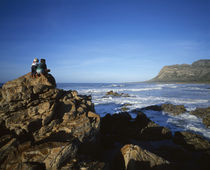 Bettys Bay, Overberg Coast, Western Cape Province, South Africa by Panoramic Images