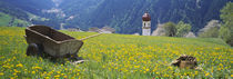 Wheelbarrow in a field, Austria von Panoramic Images
