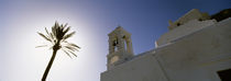 Low angle view of a palm tree near a church , Ios, Cyclades Islands, Greece von Panoramic Images