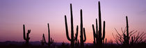  Tucson, Pima County, Arizona, USA von Panoramic Images