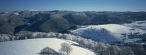 Freiburg, Black Forest, Baden-Wurttemberg, Germany by Panoramic Images