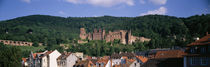 Castle and houses on a hillside, Heidelberg, Baden-Wurttemberg, Germany by Panoramic Images
