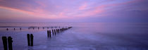Wooden Posts In Water, Sandsend, Yorkshire, England, United Kingdom by Panoramic Images