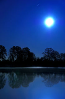 moonlight by hannes cmarits