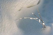 snow-frost-ice von blickpunkte