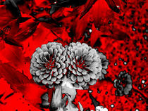 Double Flower in Negative von Yvonne M Remington