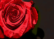 Stylized Red Rose von Yvonne M Remington