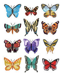 Butterflies (Papillons) von Anastassia Elias