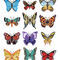 12papillons