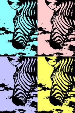 Zebra-collage