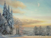 Winter pastel   von Apostolescu  Sorin
