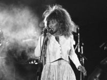 Tina Turner in Concert by James Menges