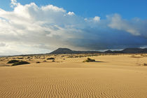 Fuerteventura, Dünenlandschaft bei Corralejo von Frank Rother