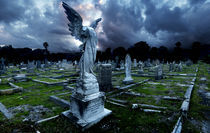 Headless Angel by Stephen Williams