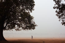 Morning Fog by Satyaki Basu