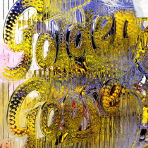 Golden Goose by Eye in Hand Gallery